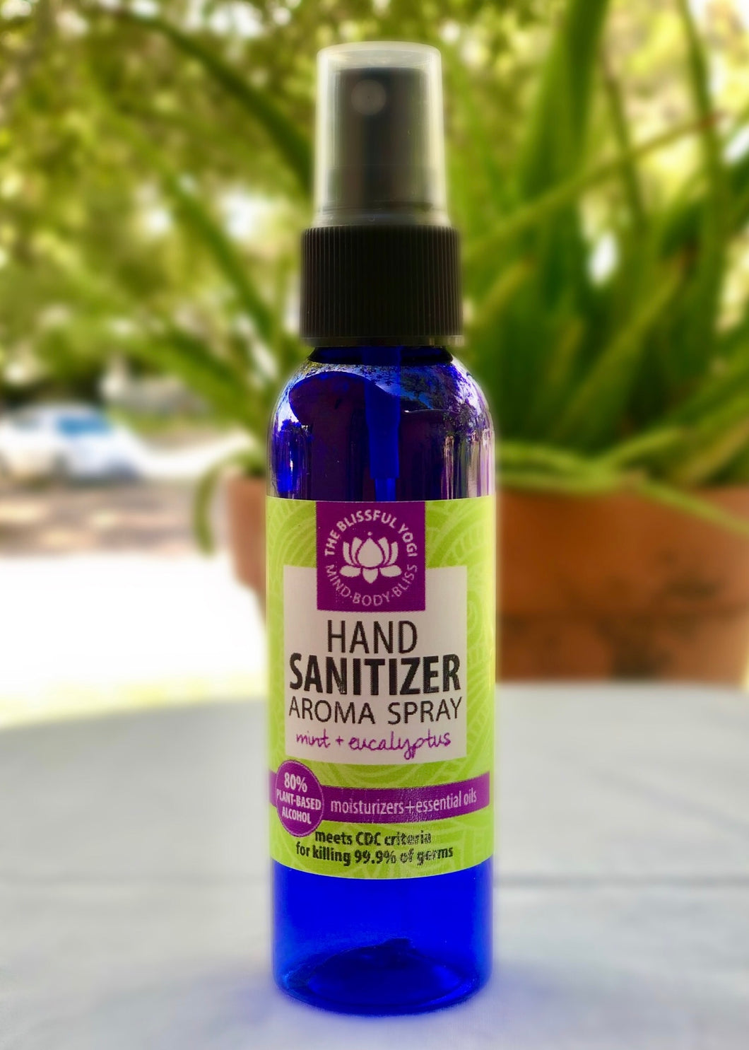 2 oz. Hand Sanitizer Aroma Spray in Mint + Eucalyptus