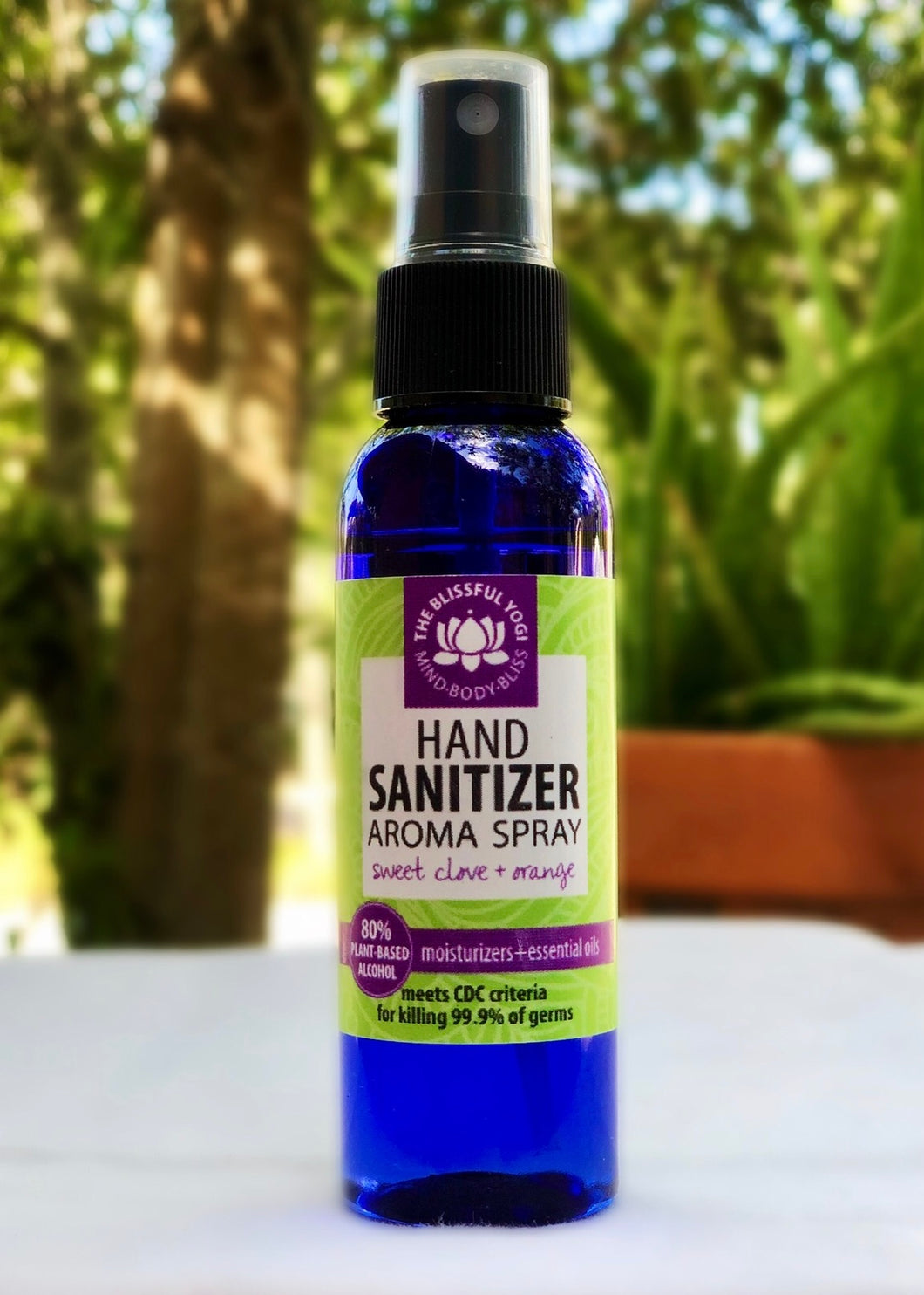 2 oz. Hand Sanitizer Aroma Spray in Sweet Clove + Orange