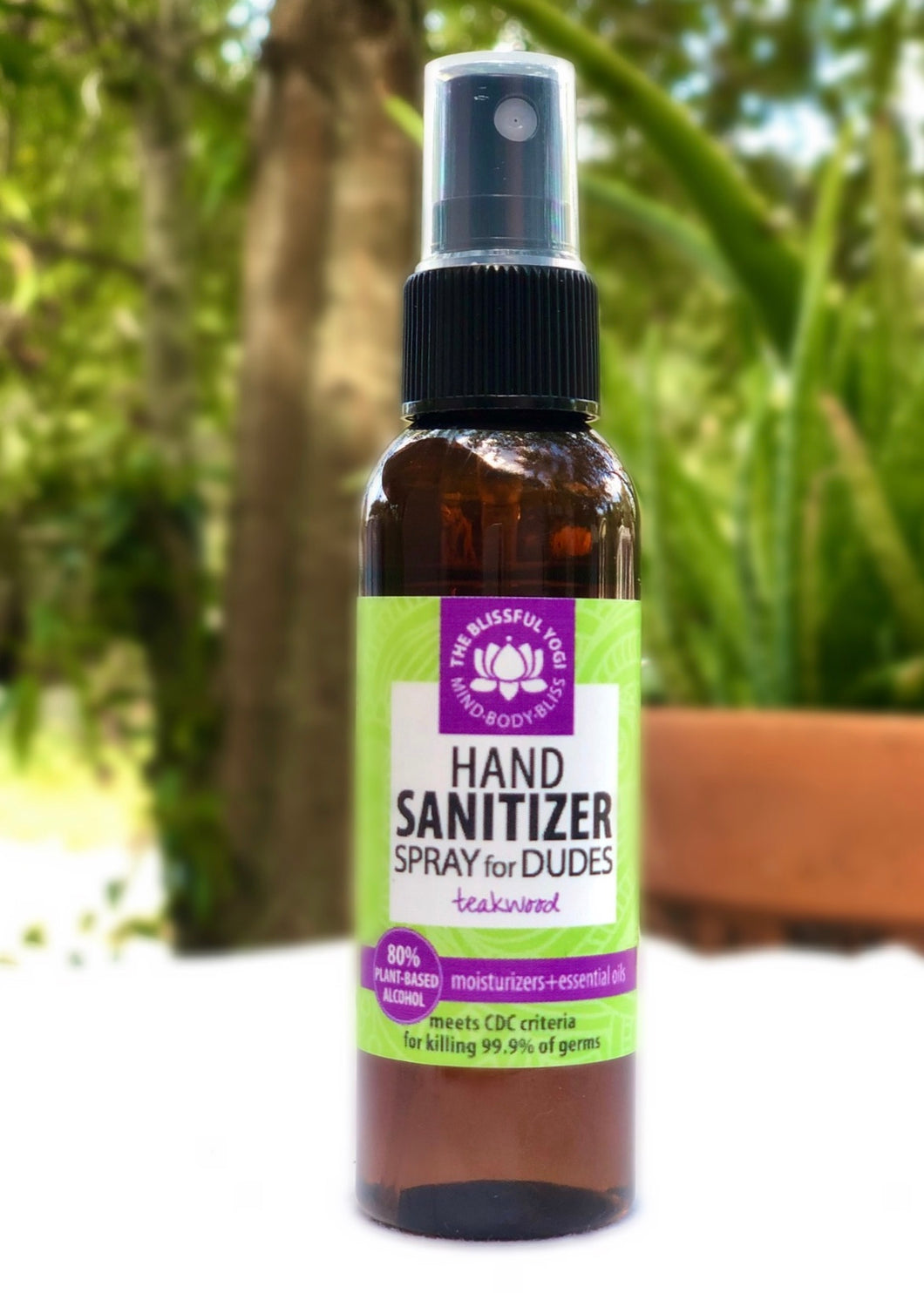 2 oz. Hand Sanitizer Spray for Dudes in Teakwood